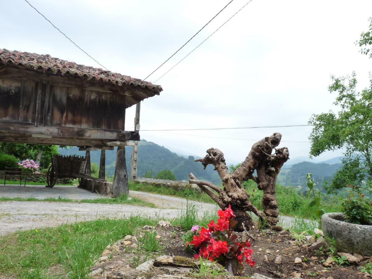 Casa Iris Vendégház Narciandi Kültér fotó