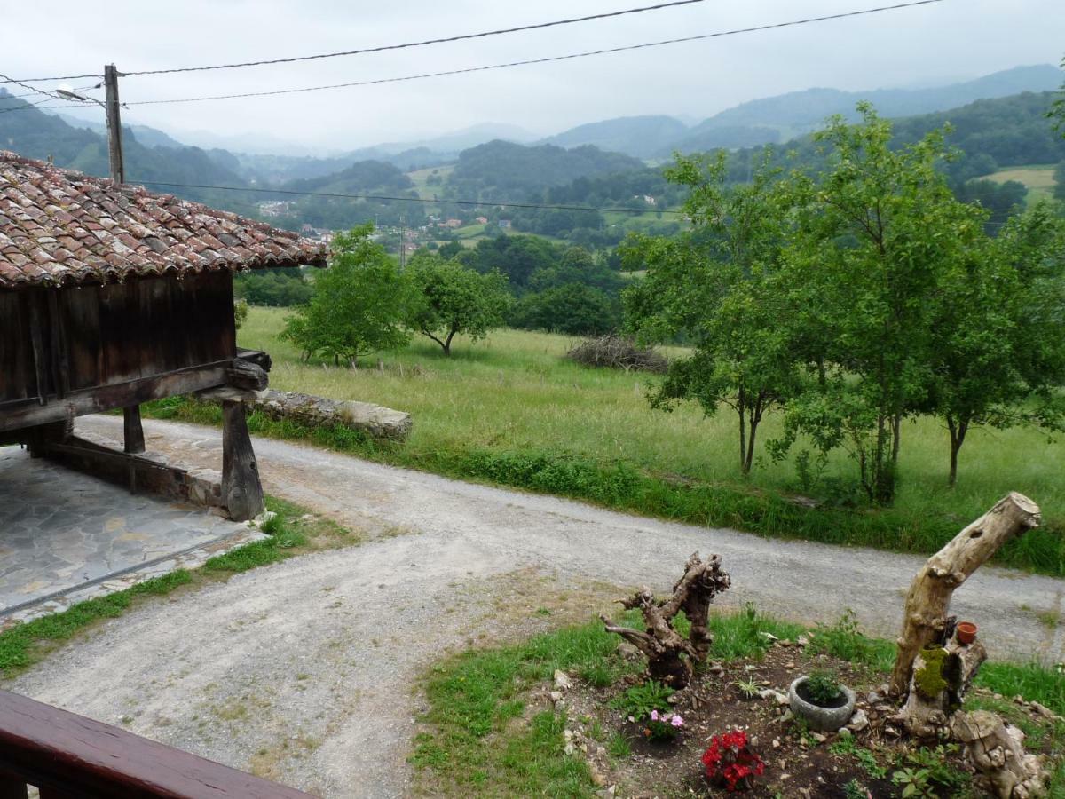 Casa Iris Vendégház Narciandi Kültér fotó